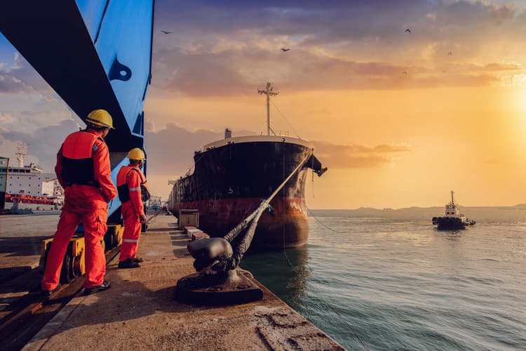 Two workers in safety gear supervise the mooring of a large cargo vessel at sunset, while a tugboat assists in the background. The scene highlights maritime operations and safety at port.